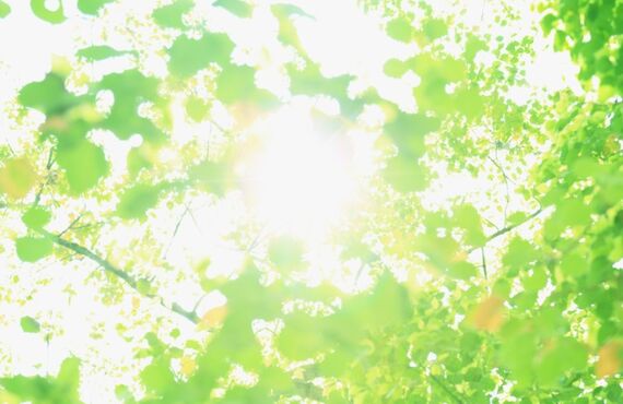 健康的に女性らしいボディラインをつくるなら《駅近のWOM-TOREへ♪》